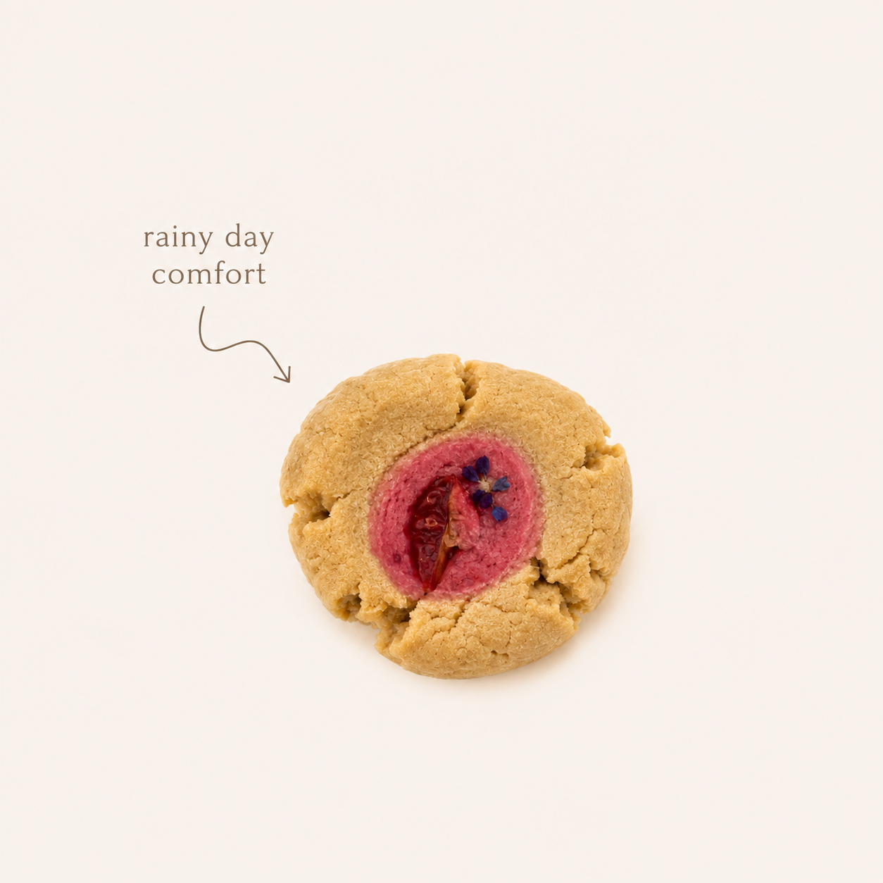 Mini Scone Bites