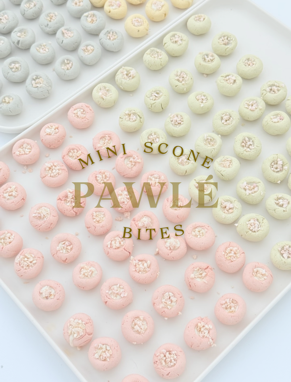 Mini Scone Bites