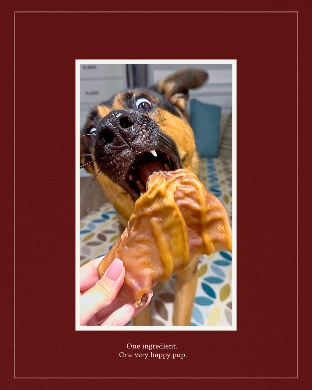 The Pig Ear