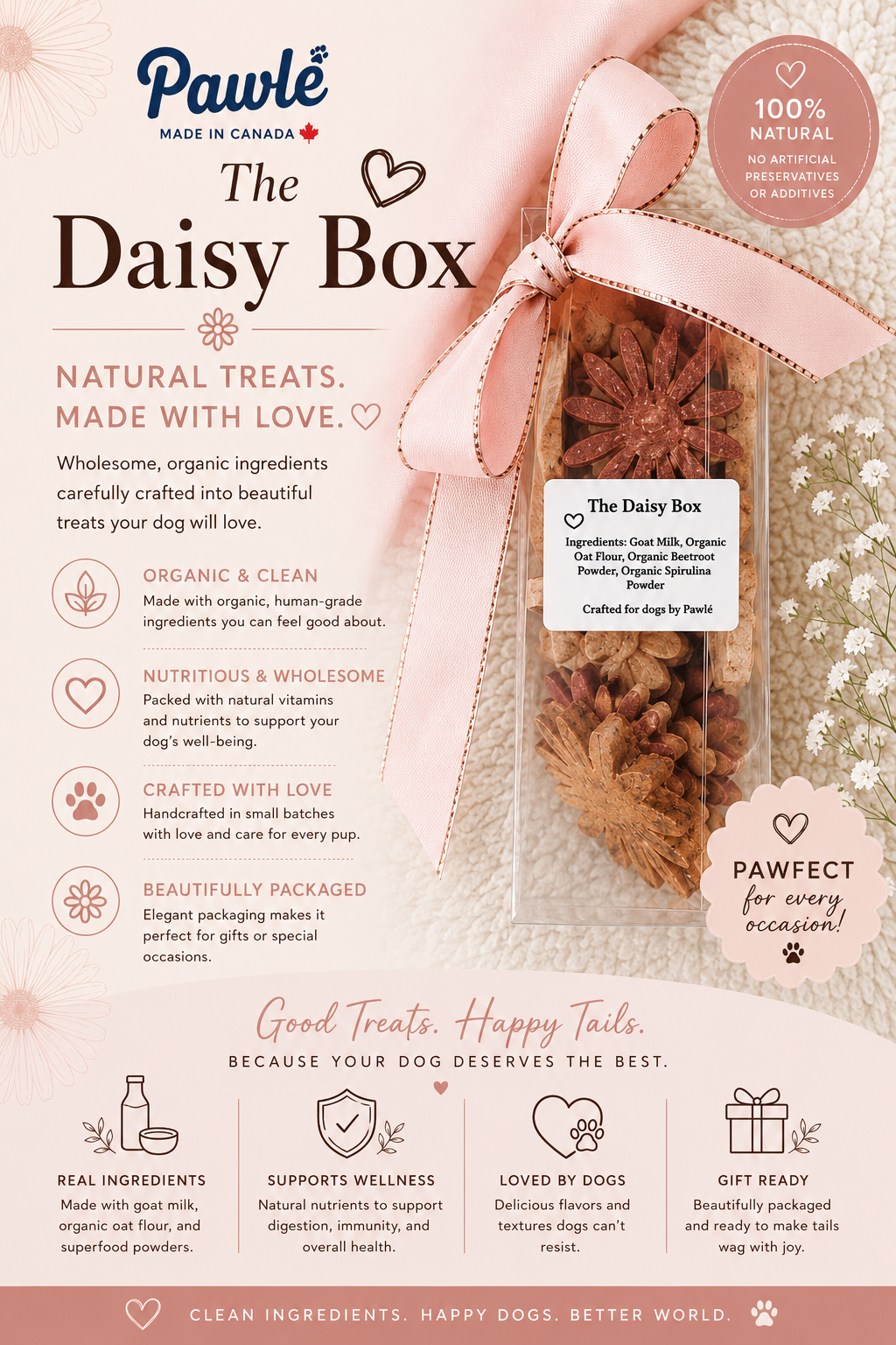 The Daisy Box