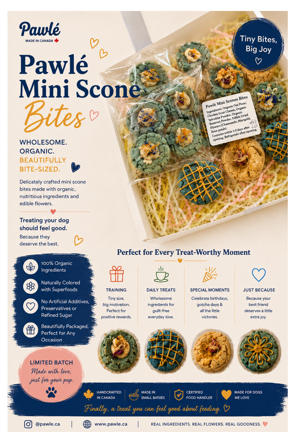 Mini Scone Bites
