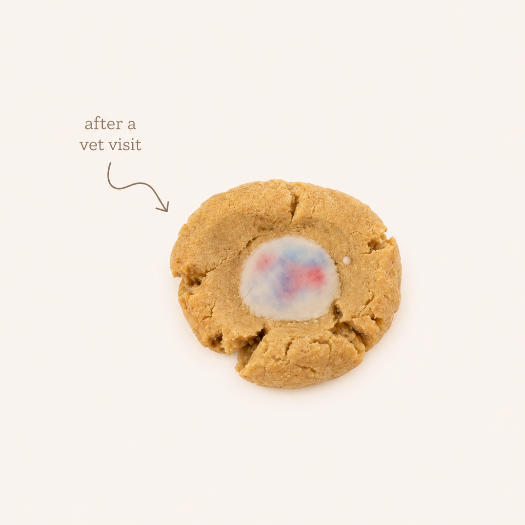Mini Scone Bites