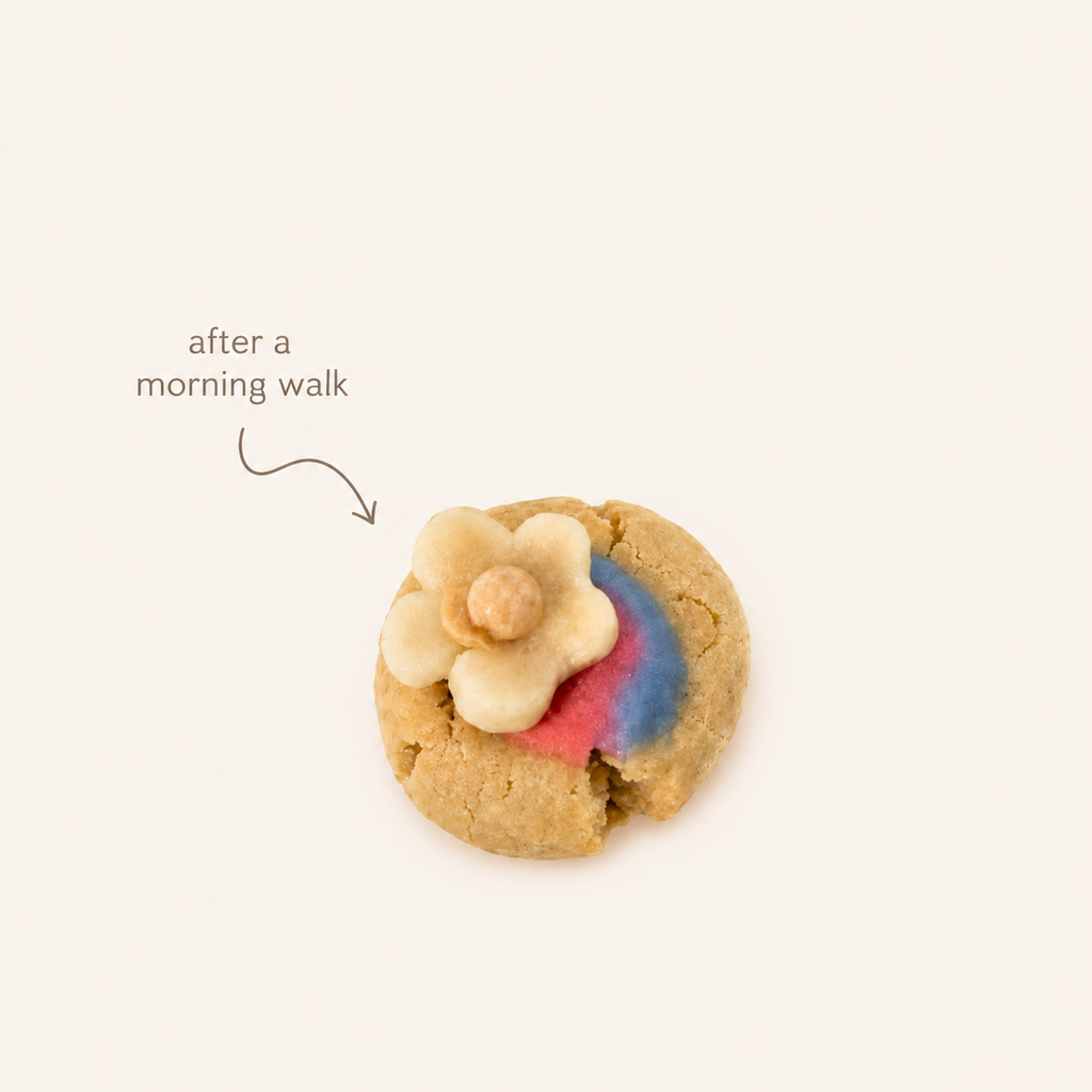 Mini Scone Bites