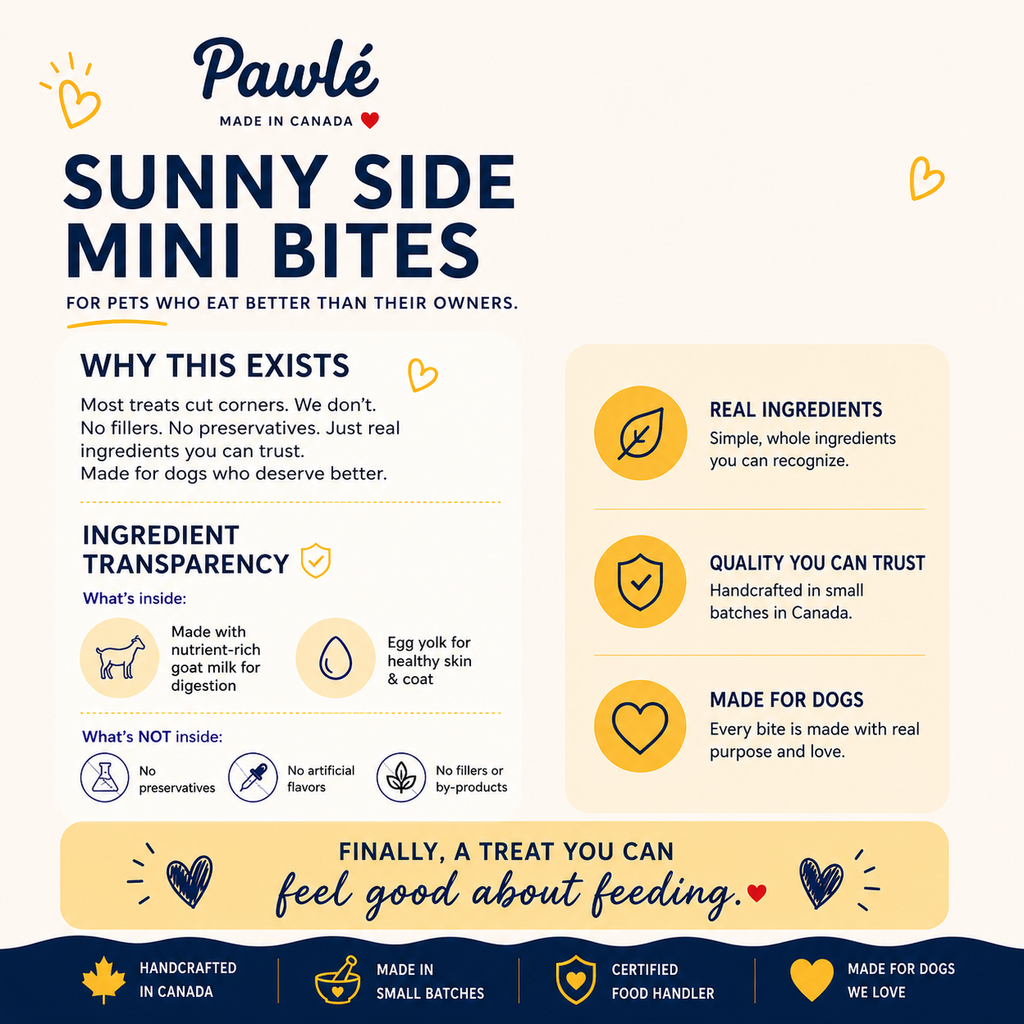 SunnySide Mini Bites