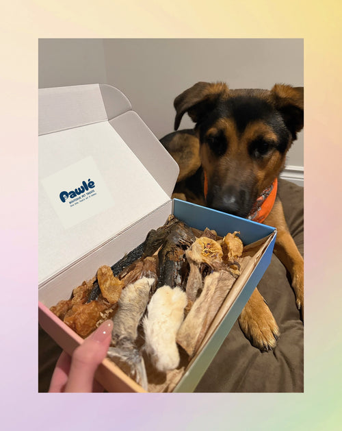 Dehydrated Chew Box